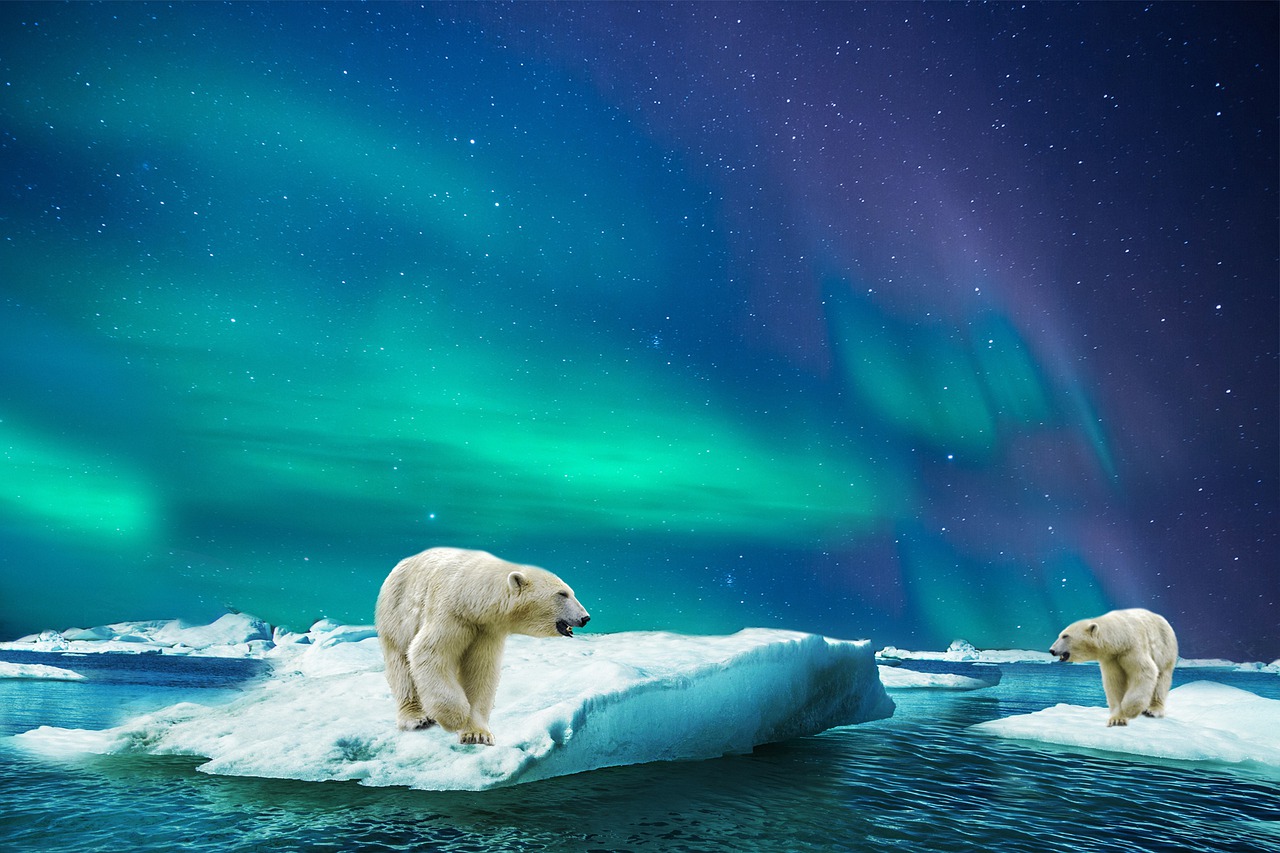 格陵蘭全國處在北極圈內,每年有長達300天以上的好天氣,幾乎全境都可以看到極光。每到冬季,就會有持續數個月的極夜,格陵蘭夜空中出現絢爛的美極光,有如煙火也有如仙女綢緞,相當美麗!除了可以追極光外,也是傳說中聖誕老公公的故鄉唷!還可以體驗狗拉雪橇、徒步旅行、雪地摩托車、越野滑雪等活動,相當值得一去!